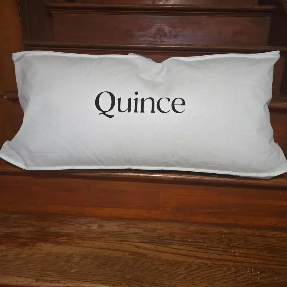 NEW Quince Luxe Goose Down King Pillow Firm/ Extra Firm